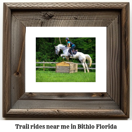 trail rides near me in Bithlo, Florida